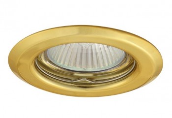 Точковий світильник ARGUS CT-2114--G Kanlux 300