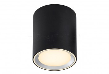Точковий світильник FALLON 12 Nordlux 47550103
