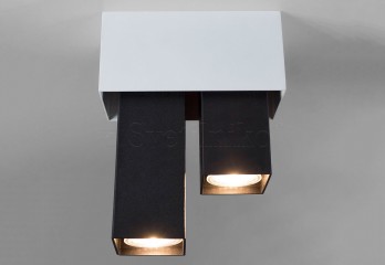 Точечный светильник R2D2 2-L WH/BK Imperium Light 178225.01.05