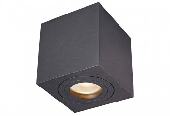Точечный светильник QUARDIP SL IP44 BK ZumaLine ACGU10-161