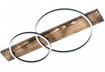 Потолочный светильник BOYAL 2 LED Eglo 99408