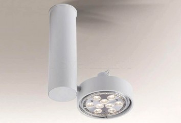 Спот NATORI 1 GU10 WH Shilo 7209