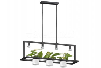 Підвісна люстра PLANTER ZumaLine P0536-04B-P7AB