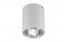 Точечный светильник Rondo Zumaline 45519