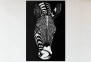 Арт-панель Zebra 50 cm Imperium Light 5551250.05.05