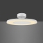 Потолочный светильник Mantra Discobolo 4491
