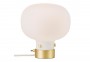 Настольная лампа RAITO DFTP 48075001